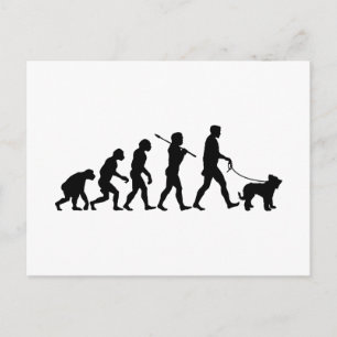 Briard Postkarte