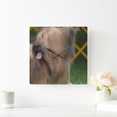 Briard Quadratische Wanduhr (Zuhause)