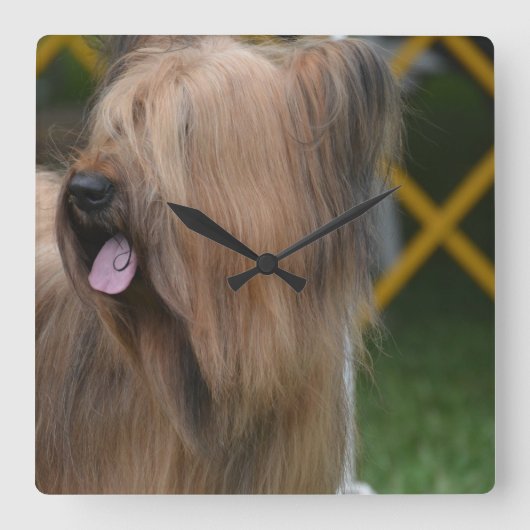 Briard Quadratische Wanduhr (Vorderseite)