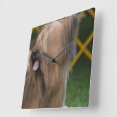 Briard Quadratische Wanduhr (Winkel)