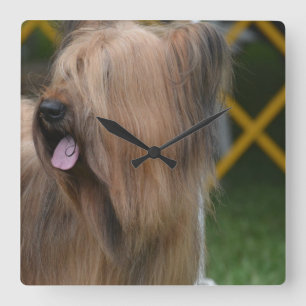 Briard Quadratische Wanduhr