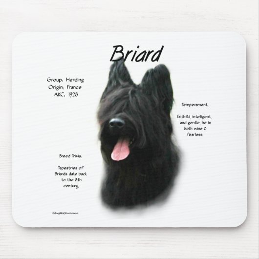 Briard (schwarz) History Design Mousepad (Vorne)