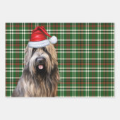 Briard Shepherd Christmas Dog Green Kariert Geschenkpapier Set (Vorderseite 3)