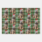 Briard Shepherd Christmas Dog Green Kariert Geschenkpapier Set (Vorderseite 2)