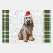 Briard Shepherd Christmas Dog Green Kariert Geschenkpapier Set (Vorderseite)