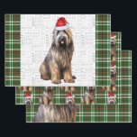 Briard Shepherd Christmas Dog Green Kariert Geschenkpapier Set<br><div class="desc">Ein bezaubernder Briard Shepherd Hund ist mit seiner Weihnachtsmannmütze für die Urlaubssaison bereit. Dieser niedliche Weihnachtshund ist mit einem grünen und roten Urlaub verbunden,  kariert auf diesem Set der Geschenkpackung für den Hundefreund.</div>