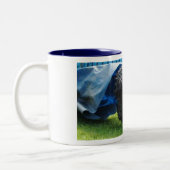 Briard Tasse (Links)