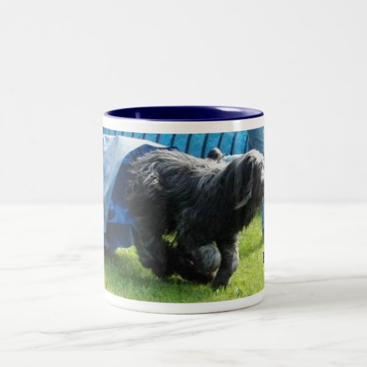 Briard Tasse (Mittel)