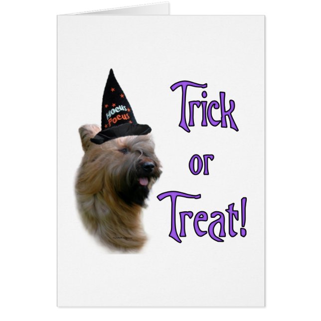 Briard Trick (Vorne)