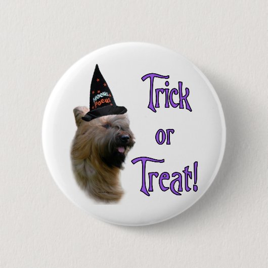 Briard Trick Button (Vorderseite)
