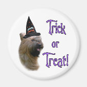 Briard Trick Magnet (Vorne)