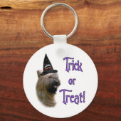 Briard Trick Schlüsselanhänger (Vorderseite)