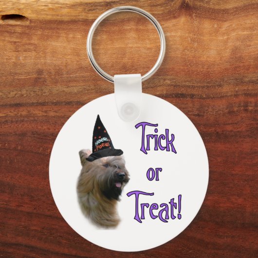 Briard Trick Schlüsselanhänger (Vorderseite)