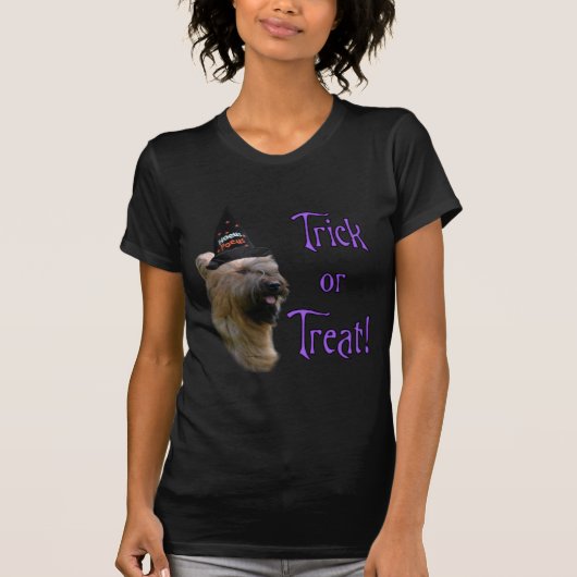 Briard Trick T-Shirt (Vorderseite)