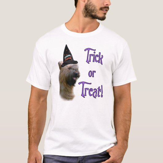 Briard Trick T-Shirt (Vorderseite)