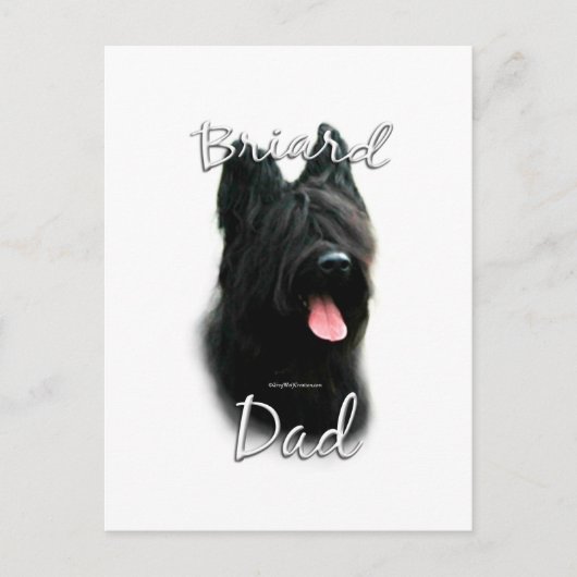 Briard Vater 2 Postkarte (Vorderseite)