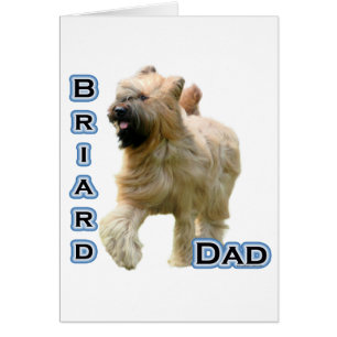 Briard Vater 4
