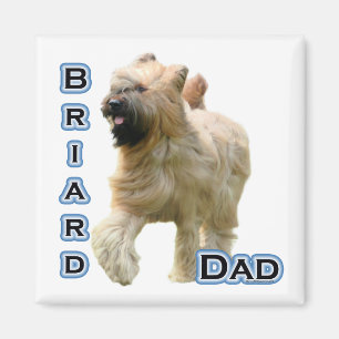 Briard Vater 4 - Magnet
