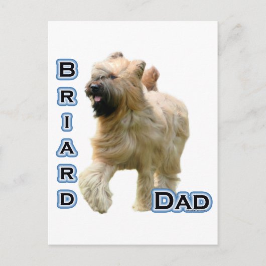 Briard Vater 4 Postkarte (Vorderseite)
