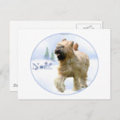 Briard Weihnachten (Vorne/Hinten)