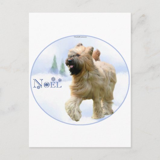 Briard Weihnachten (Vorderseite)