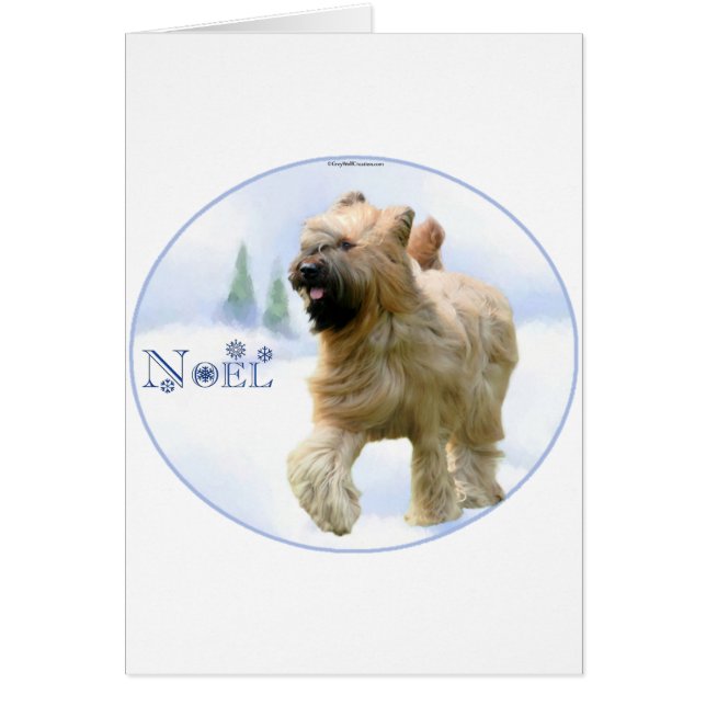 Briard Weihnachten (Vorne)