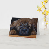 briard Welpe Karte (Gelbe Blume)