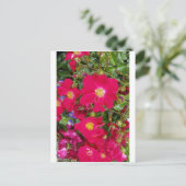 Briäre Rose und süße Violetten Postkarte (Stehend Vorderseite)