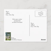 Brick Abstrakt Summer Green denken Sie Postkarte (Rückseite)