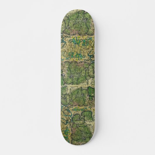 Brick Graffiti New York Skateboard (Vorne)