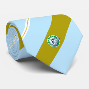 Brick (New Jersey) Stadtflagge Neck Tie Krawatte