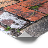 Brick Sidewalk, Apalachicola, Florida Poster (Ecke)