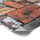 Brick Sidewalk, Apalachicola, Florida Poster (Ecke)