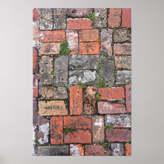 Brick Sidewalk, Apalachicola, Florida Poster (Vorne)