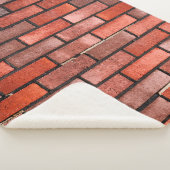 Brick wall with red brick, red brick background. b sherpadecke (3/4)