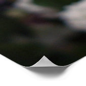 Bridal Blume Poster (Ecke)