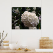 Bridal Blume Poster (Küche)