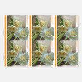Bridal Kronendrümeln Kruste. Umschlagpapier Geschenkpapier Set (Vorderseite)