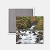 Bridal Veil Falls Creek Magnet (Vorderseite/Rückseite)