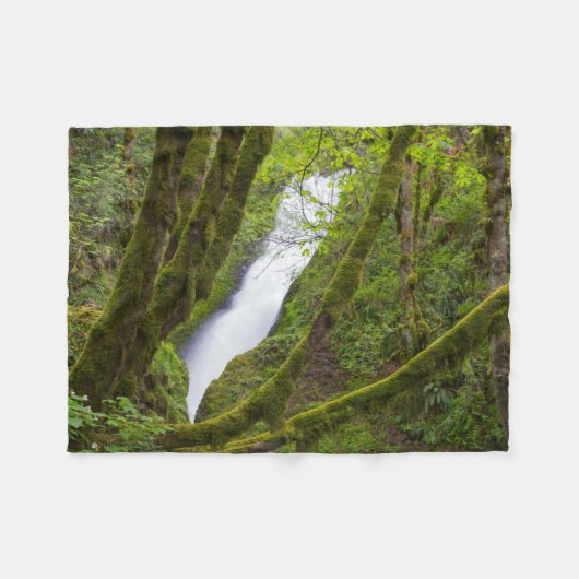 Bridal Veil Falls Fleecedecke (Vorderseite (Horizontal))
