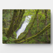 Bridal Veil Falls Fotoplatte (Vorderseite)