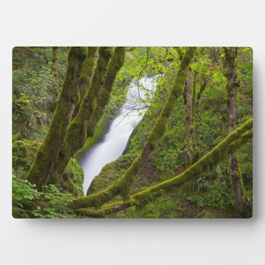 Bridal Veil Falls Fotoplatte (Vorderseite)