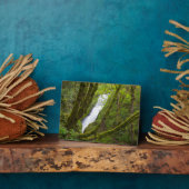 Bridal Veil Falls Fotoplatte (Seite)