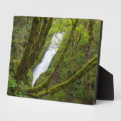 Bridal Veil Falls Fotoplatte (Seite)