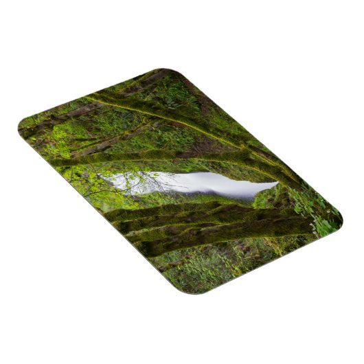 Bridal Veil Falls Magnet (Rechte Seite)
