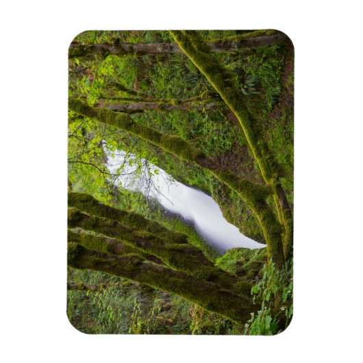 Bridal Veil Falls Magnet (Vertikal)