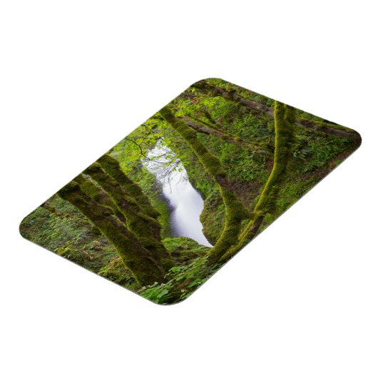 Bridal Veil Falls Magnet (Linke Seite)