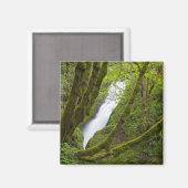 Bridal Veil Falls Magnet (Vorderseite/Rückseite)
