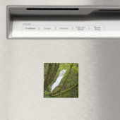 Bridal Veil Falls Magnet (In Situ (Geschirrspüler))