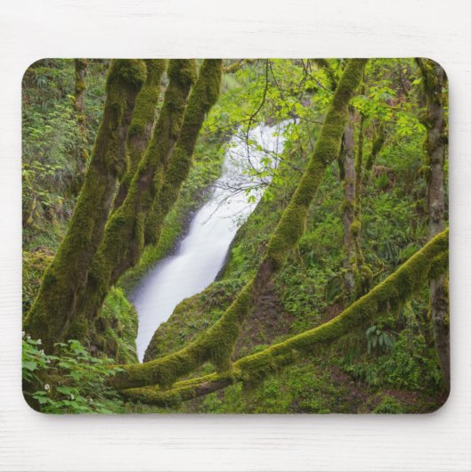 Bridal Veil Falls Mousepad (Vorne)